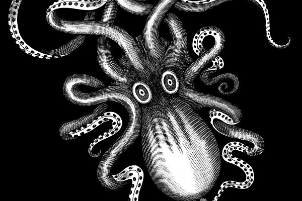Kraken tor ссылка kraken014 com