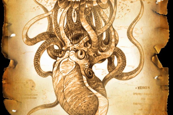 Kraken 24 top