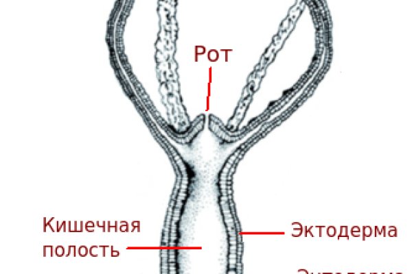 Kra35.cc