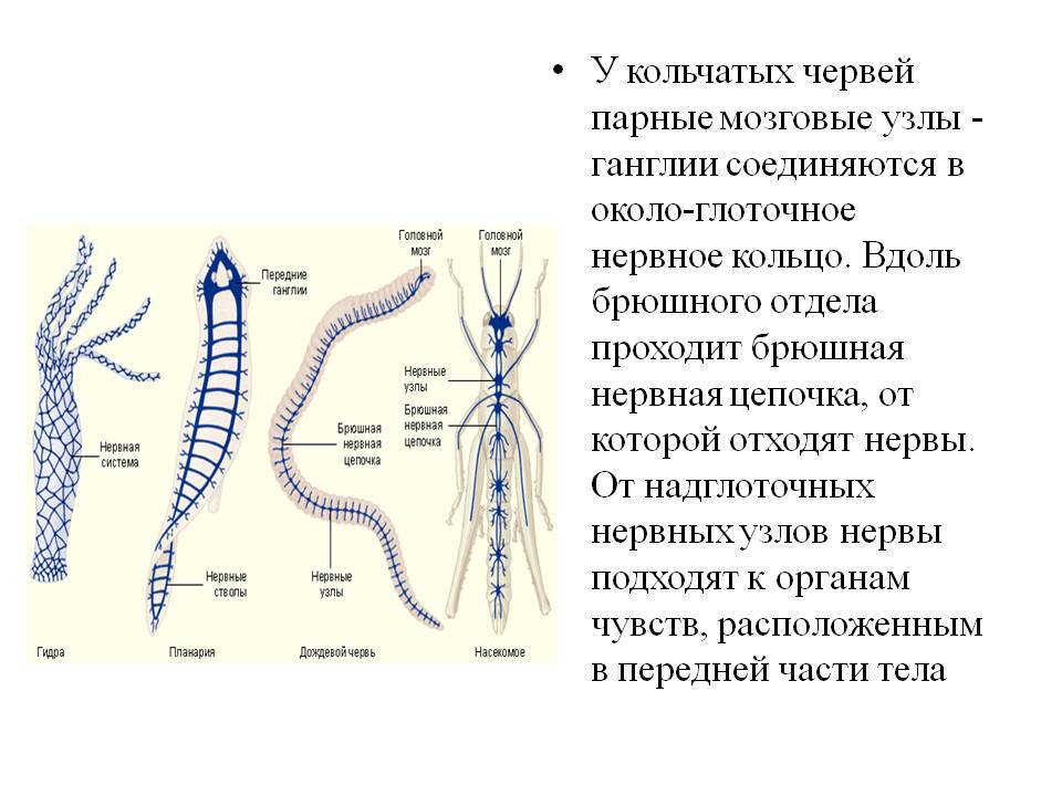 Kra35at